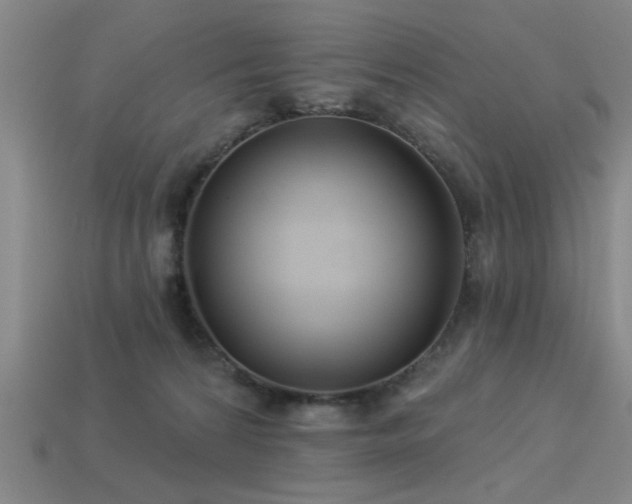 X0000113280224200909141232