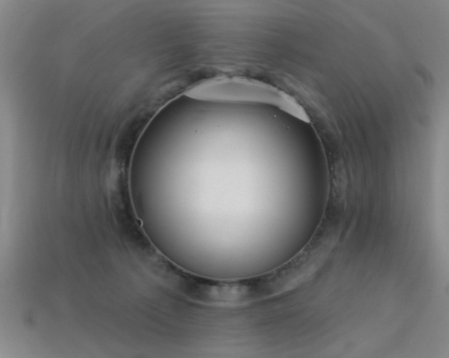 X0000113280225200909141232