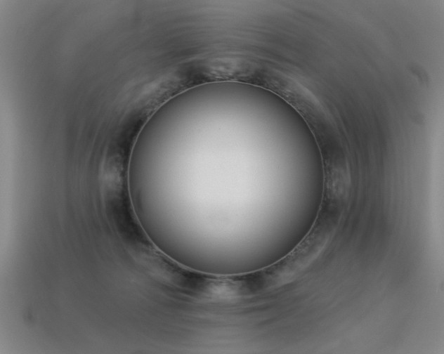 X0000113280226200909141232