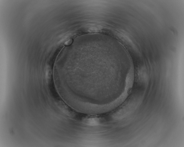 X0000113280228200909141232