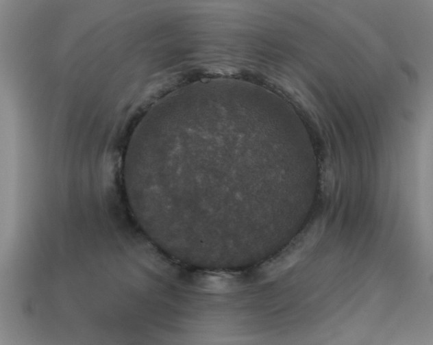 X0000113280229200909141232