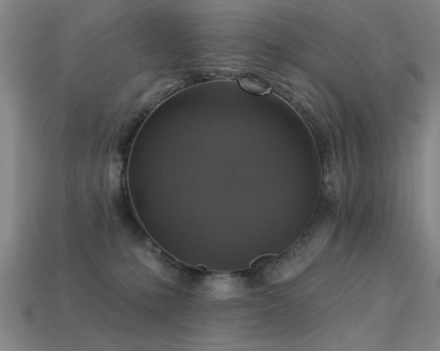 X0000113280231200909141232