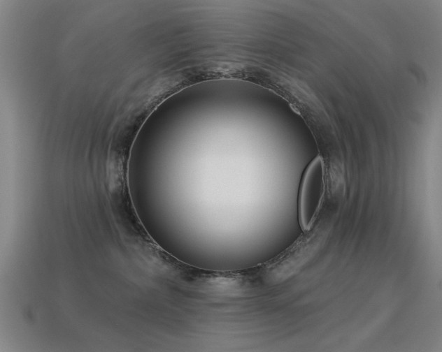 X0000113280236200909141232