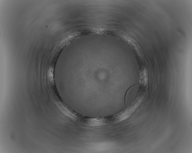 X0000113280238200909141232