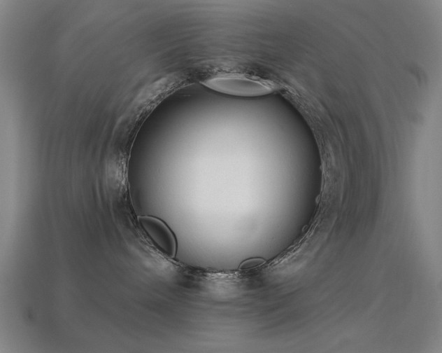 X0000113280240200909141232