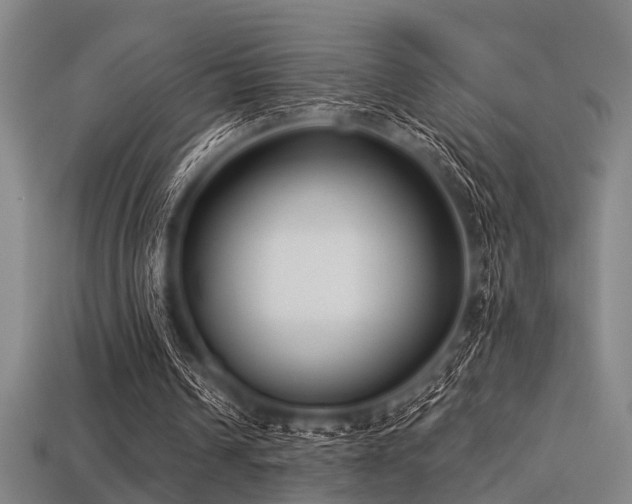 X0000113280242200909141231