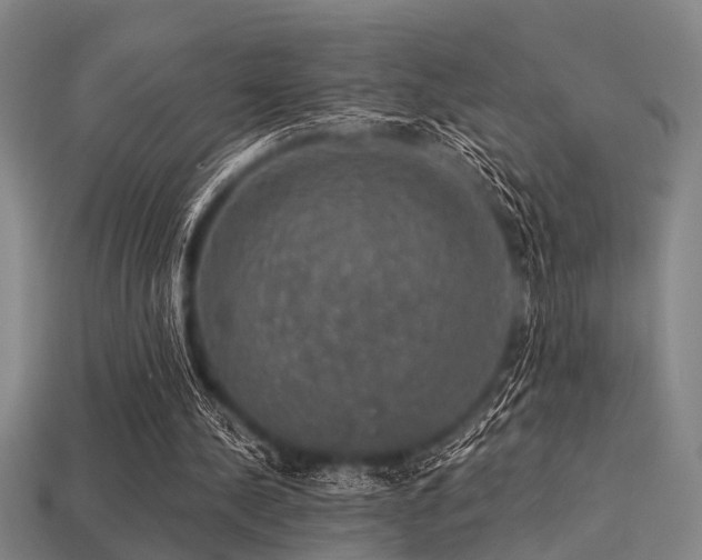 X0000113280244200909141231