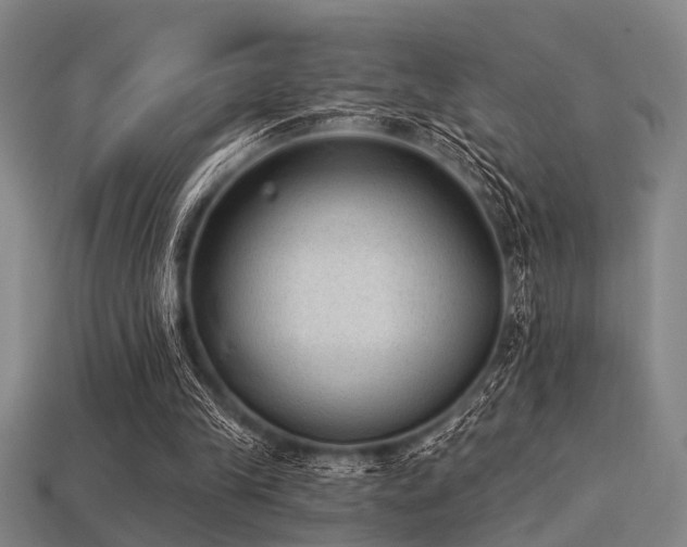 X0000113280245200909141231