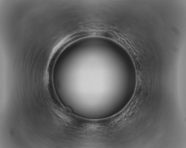 X0000113280246200909141231