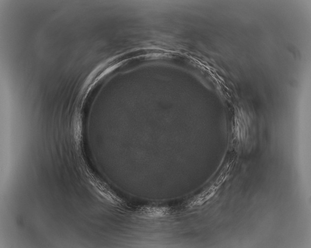 X0000113280247200909141231