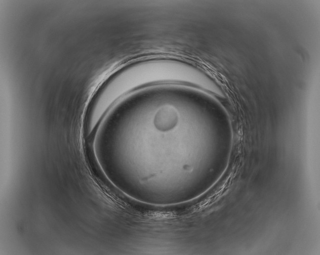 X0000113280248200909141231