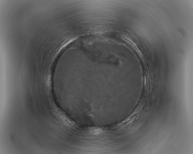 X0000113280249200909141231