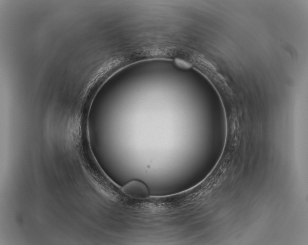 X0000113280250200909141231