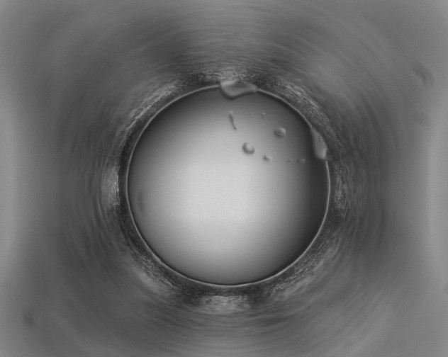 X0000113280251200909141231