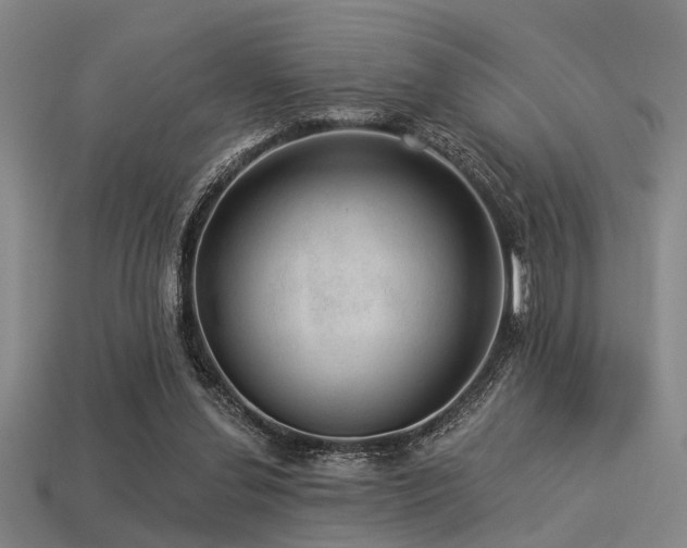 X0000113280252200909141231