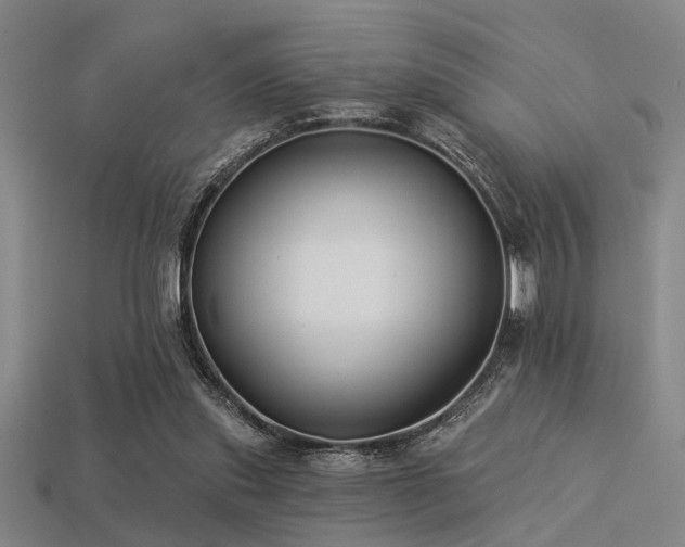 X0000113280253200909141231