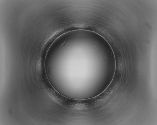 X0000113280256200909141231