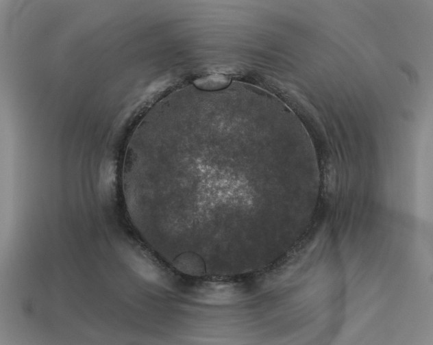 X0000113280260200909141231