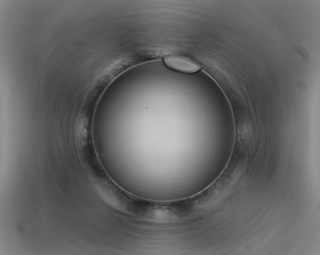 X0000113280264200909141231