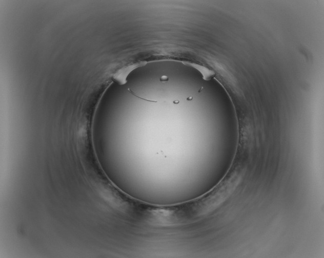 X0000113280265200909141231