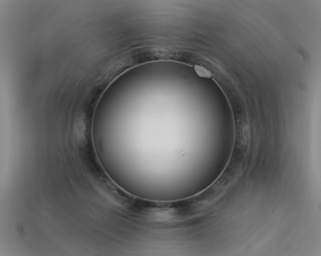 X0000113280266200909141231