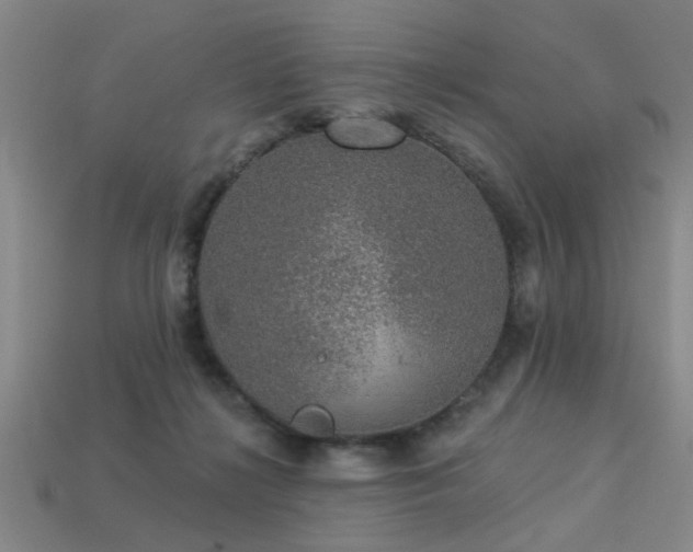 X0000113280268200909141231