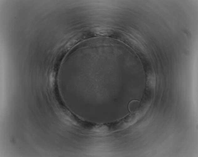 X0000113280271200909141231