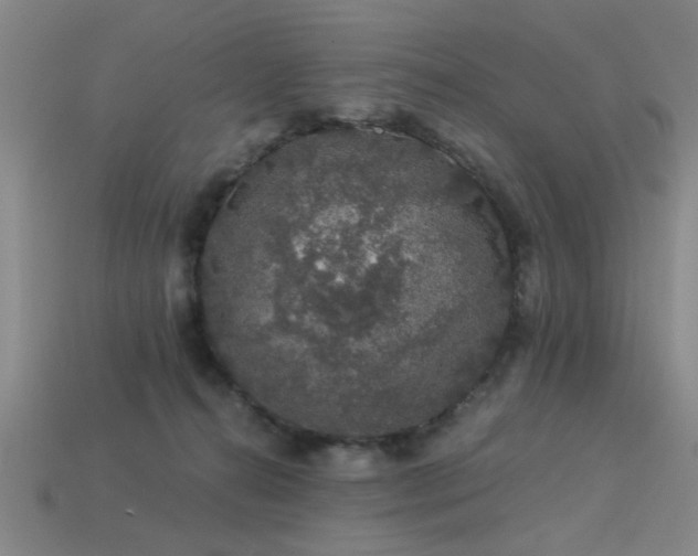 X0000113280272200909141231