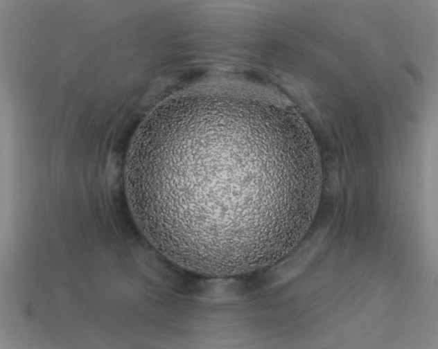 X0000113280273200909141231