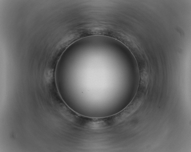 X0000113280278200909141231