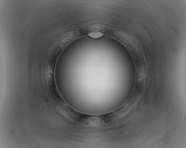 X0000113280279200909141231