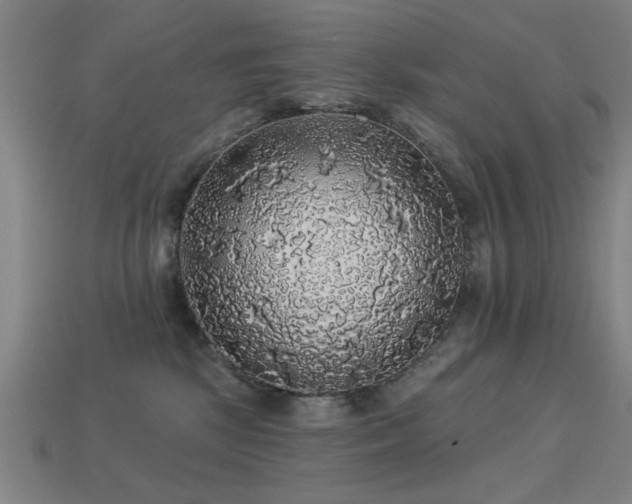 X0000113280281200909141231