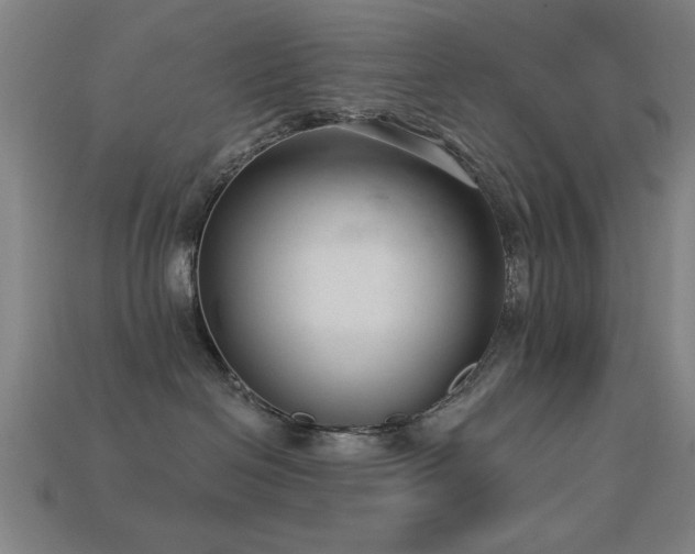 X0000113280286200909141232