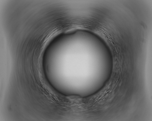 X0000113280289200909141231