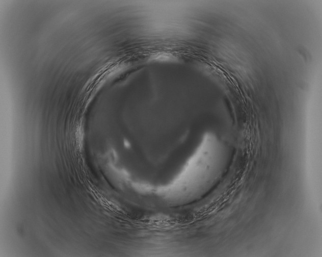 X0000113280290200909141231