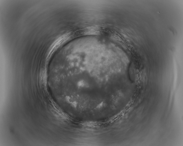 X0000113280293200909141231