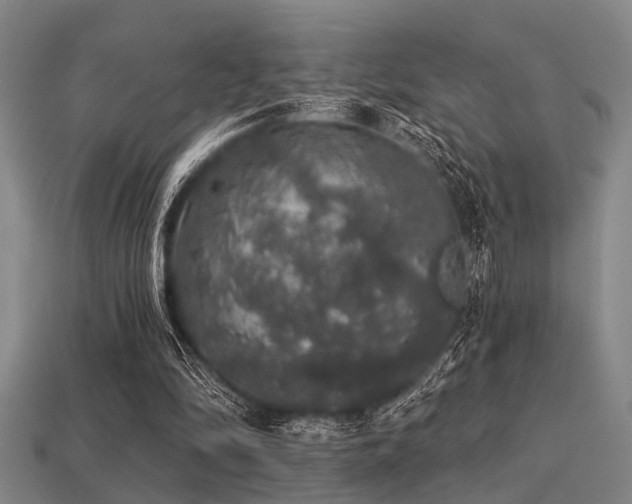 X0000113280294200909141231