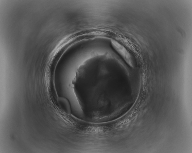 X0000113280295200909141231