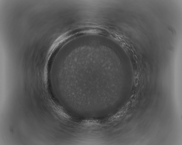 X0000113280296200909141231