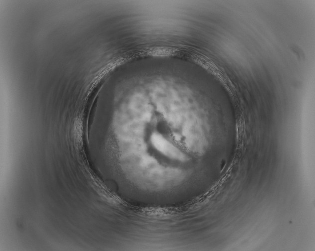 X0000113280297200909141231