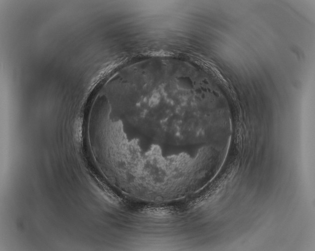 X0000113280299200909141231