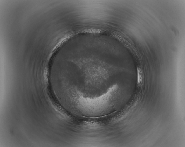 X0000113280300200909141231