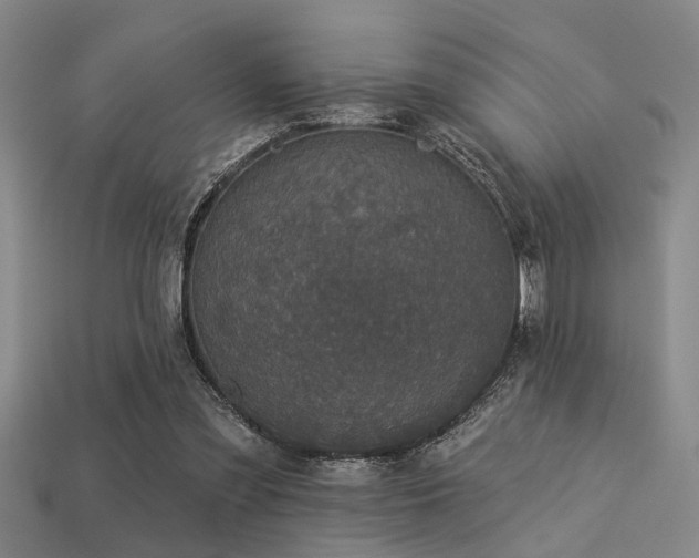 X0000113280301200909141231