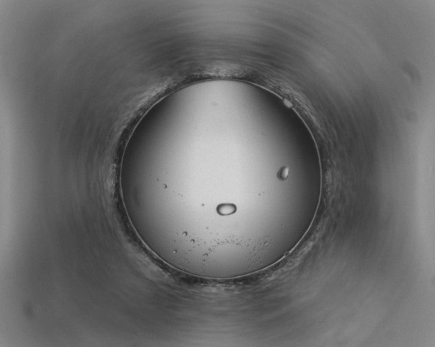 X0000113280305200909141231