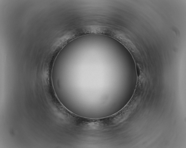 X0000113280306200909141231