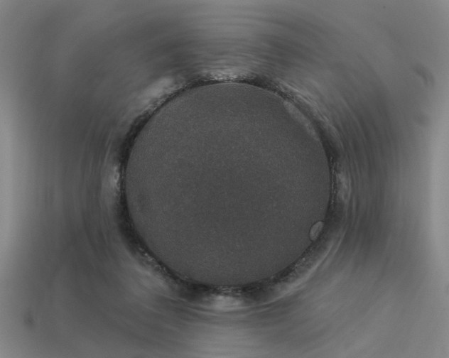 X0000113280308200909141231