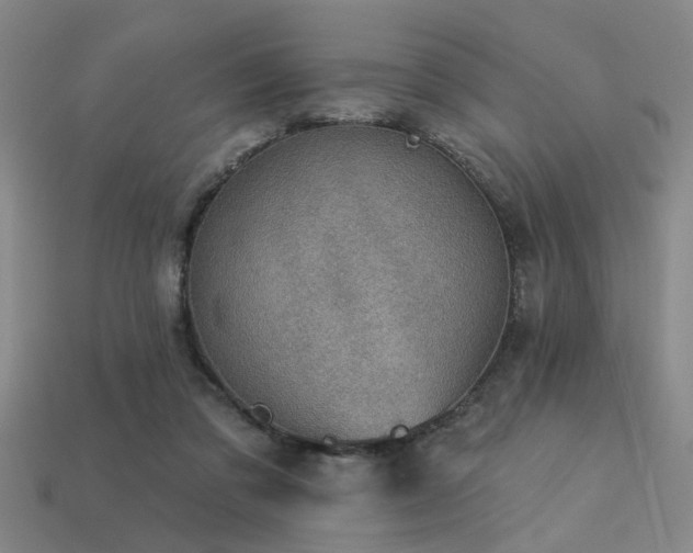 X0000113280309200909141231