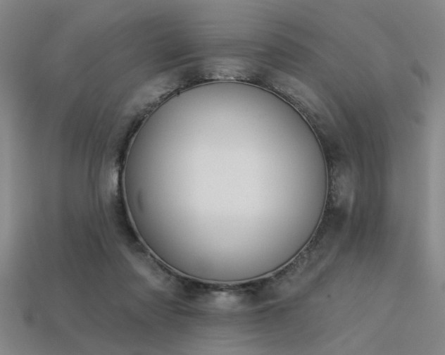 X0000113280310200909141231