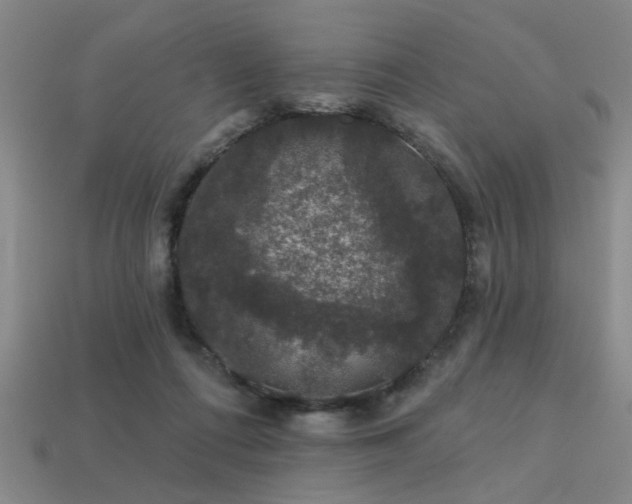 X0000113280312200909141231