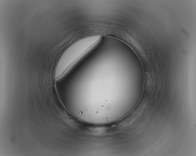 X0000113280313200909141231